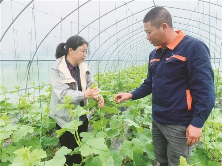 南通：农技智囊团田间地头“把脉开方”