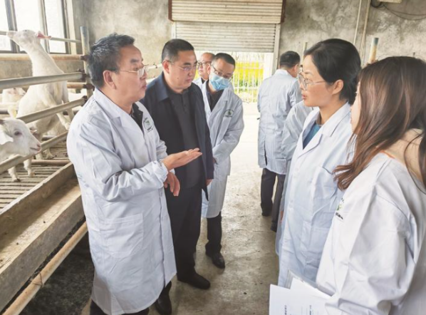 江苏南通：1600人下沉一线，农技智囊团田间地头“把脉开方”