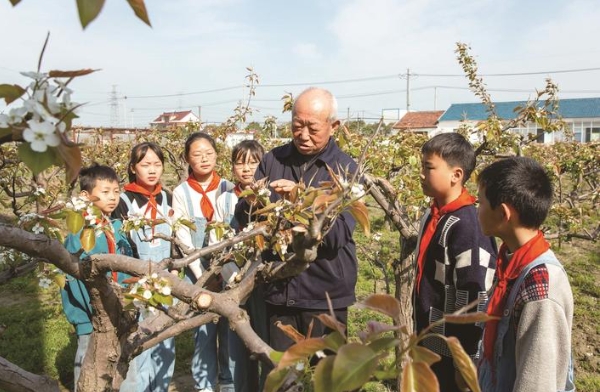 助力“新海安人”子女成长 “双课堂”劳动教育入选全国经典案例