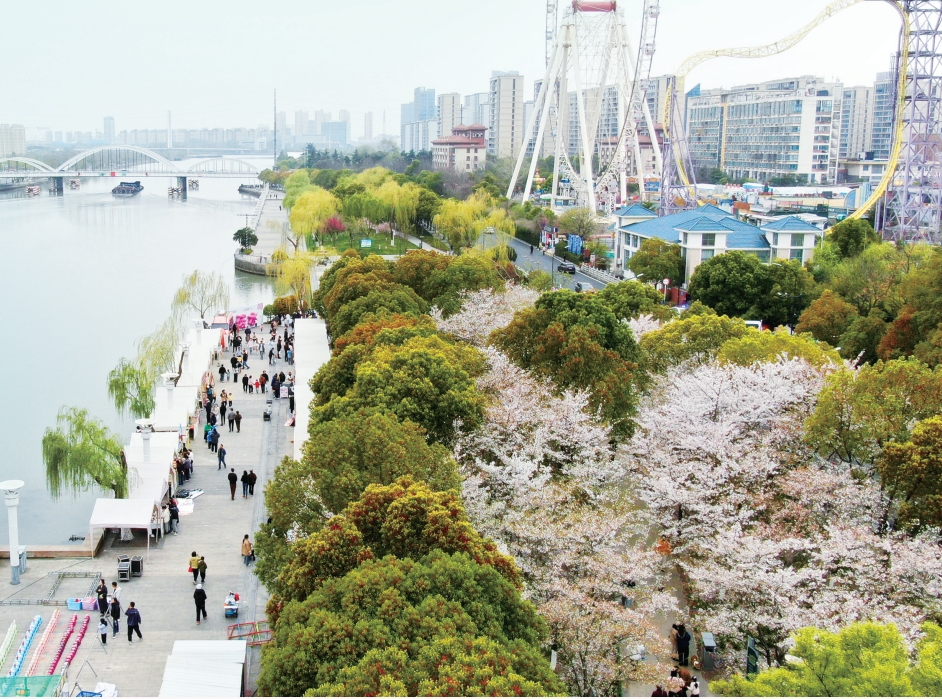 良辰美景樱花市集启幕  这场春日之约将持续至4月上旬