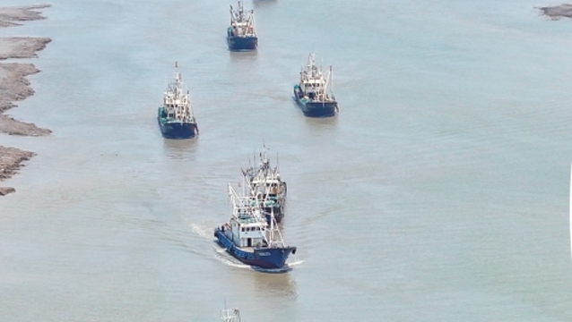 暂别“海鲜自由” 黄海全面休渔 