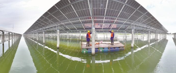 我市最大单体“渔光互补”项目全容量并网发电