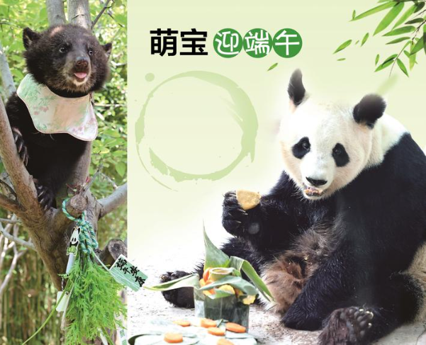 萌宝迎端午