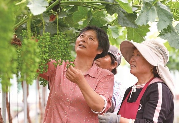 深入田间地头 助力乡村振兴