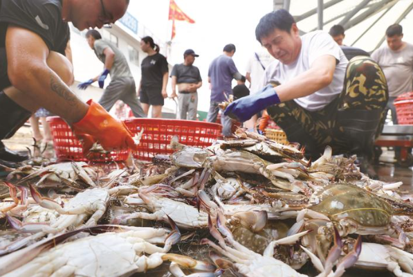渔获满舱 抢“鲜”上岸