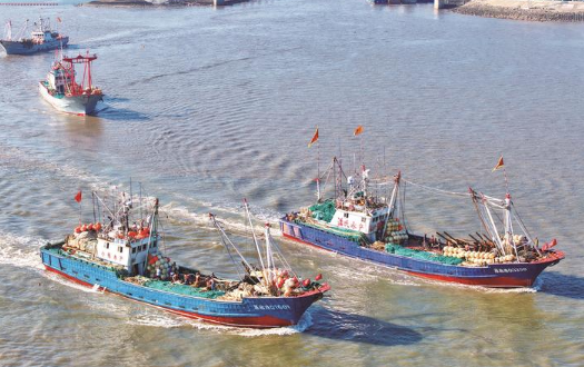 272艘帆张网渔船 开启“寻鲜之旅”