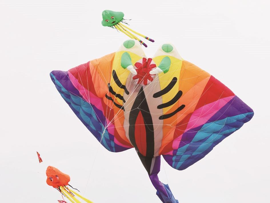 花式纸鸢 翱翔蓝天丨400多个风筝扮靓小洋口