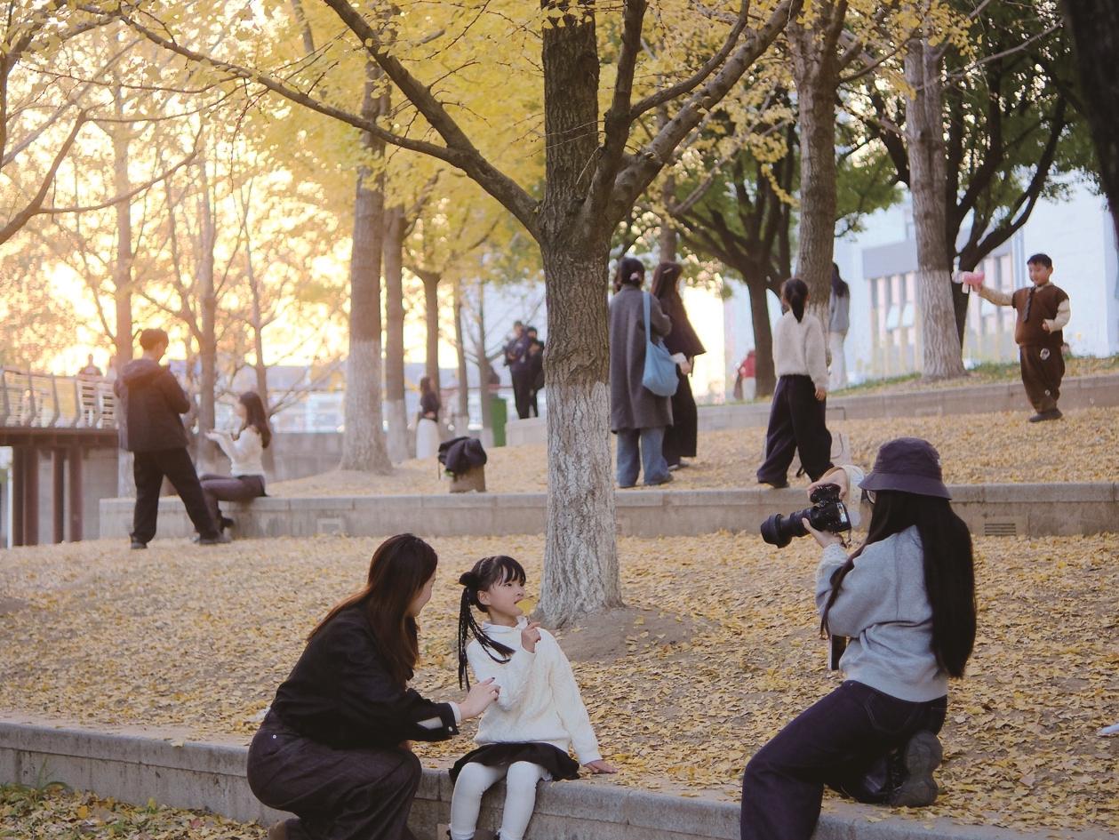 通吕运河生态景观带船闸东路路段迎来冬日限定美景