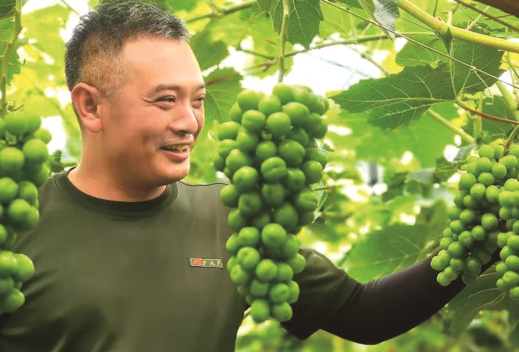 如东双爱家庭农场负责人徐爱宏：轻点屏幕，一人管理千亩田