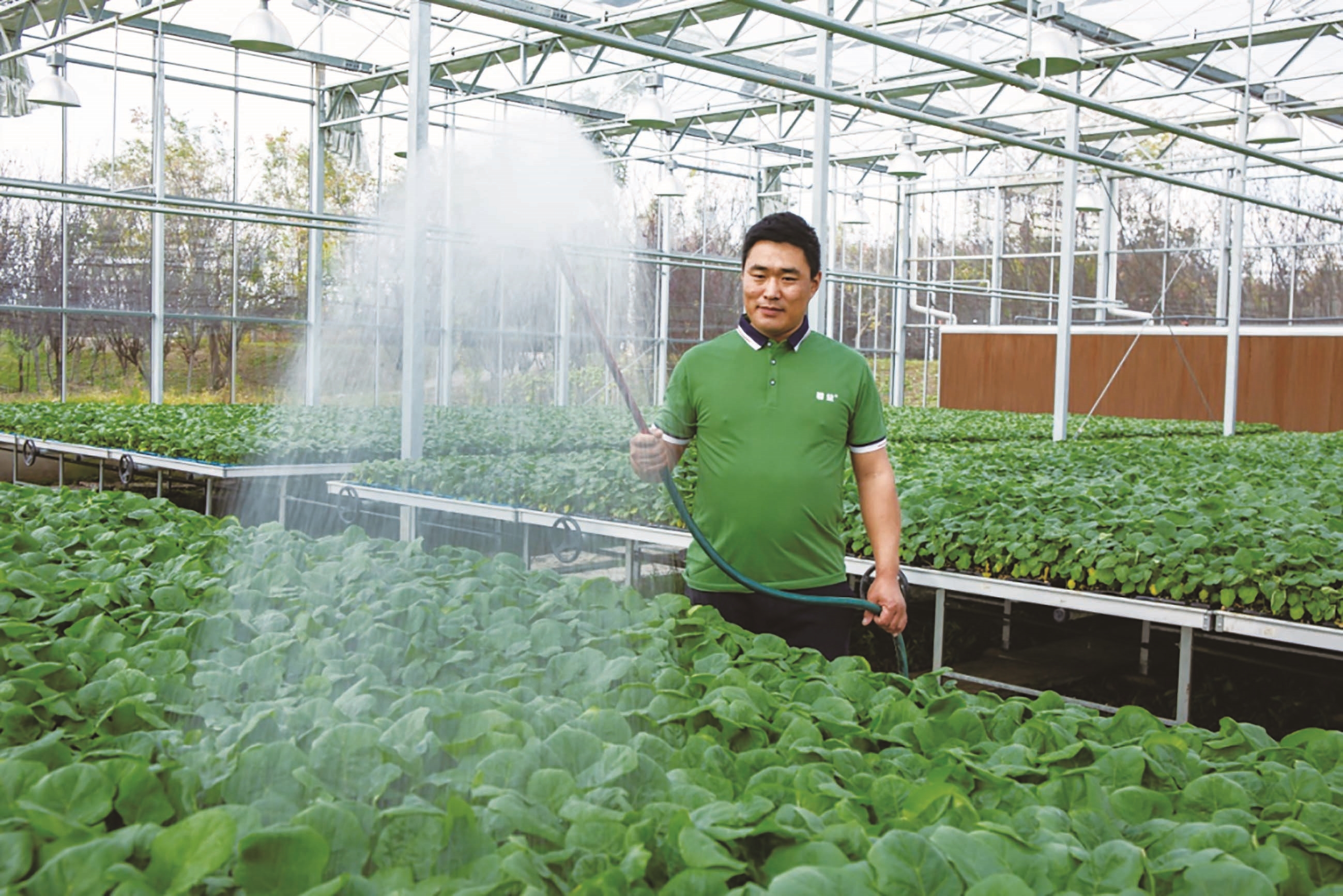 育好一株种苗 带富一方乡亲